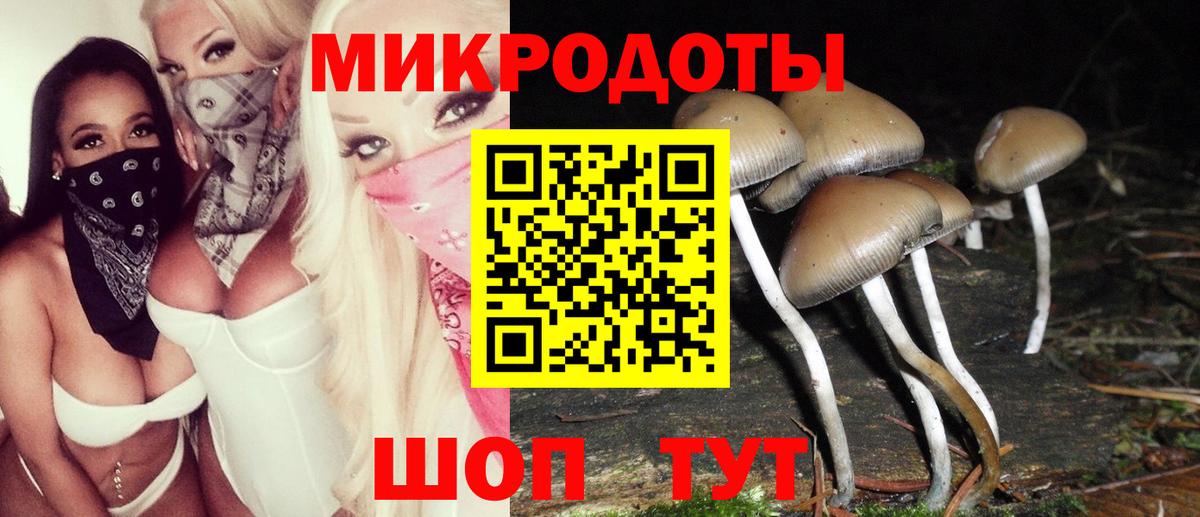 Галлюциногенные грибы GOLDEN TEACHER  купить наркотик  Вход с VPN  Учалы  Псилоцибиновые грибы ЛСД 